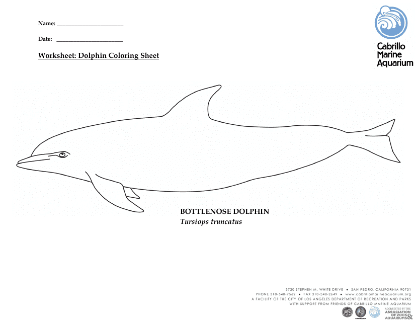 Bottlenose Dolphin Coloring Sheet
