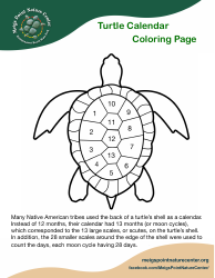 Document preview: Turtle Calendar Coloring Page