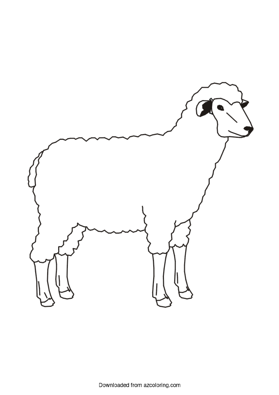 Cute Sheep Coloring Page - Printable Coloring Sheet for Kids