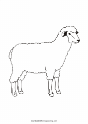 Document preview: Sheep Coloring Page