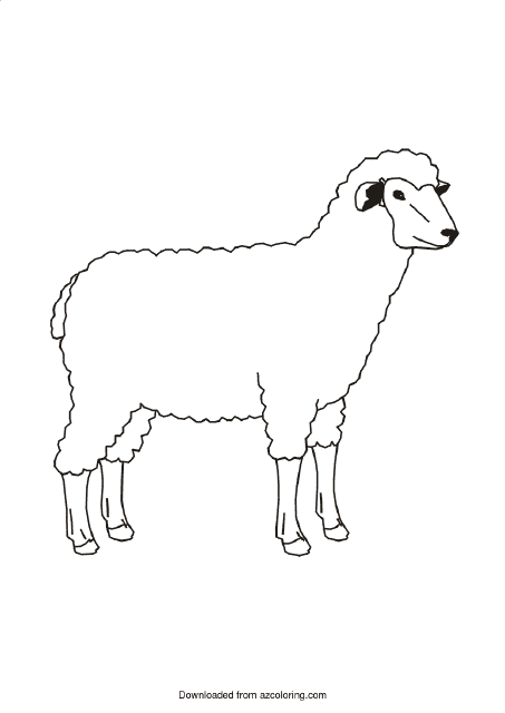 Cute Sheep Coloring Page - Printable Coloring Sheet for Kids