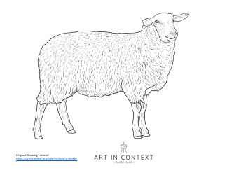 Document preview: Sheep Coloring Sheet