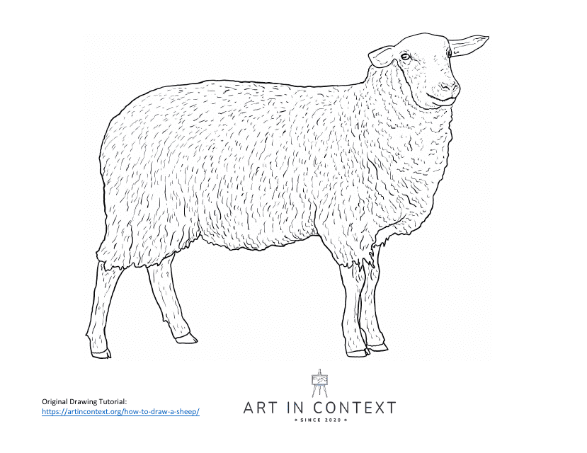 Sheep Coloring Sheet