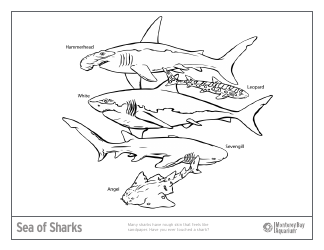 Document preview: Sea Sharks Coloring Page