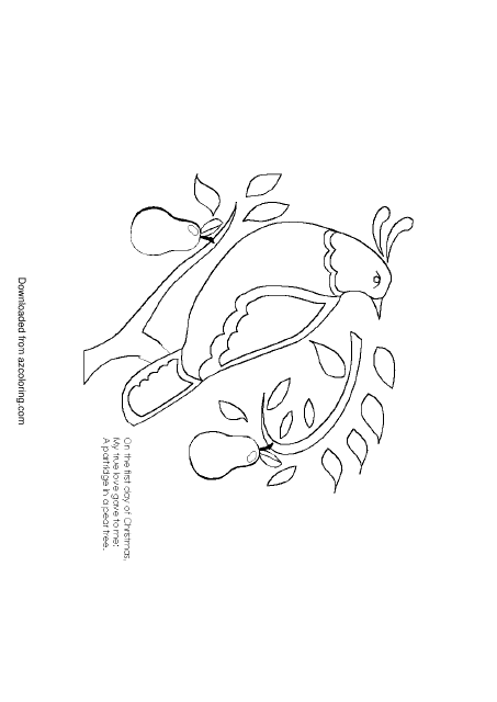 Partridge in a Pear Tree Coloring Page