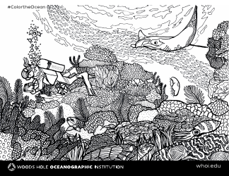 Document preview: Ocean Coloring Page