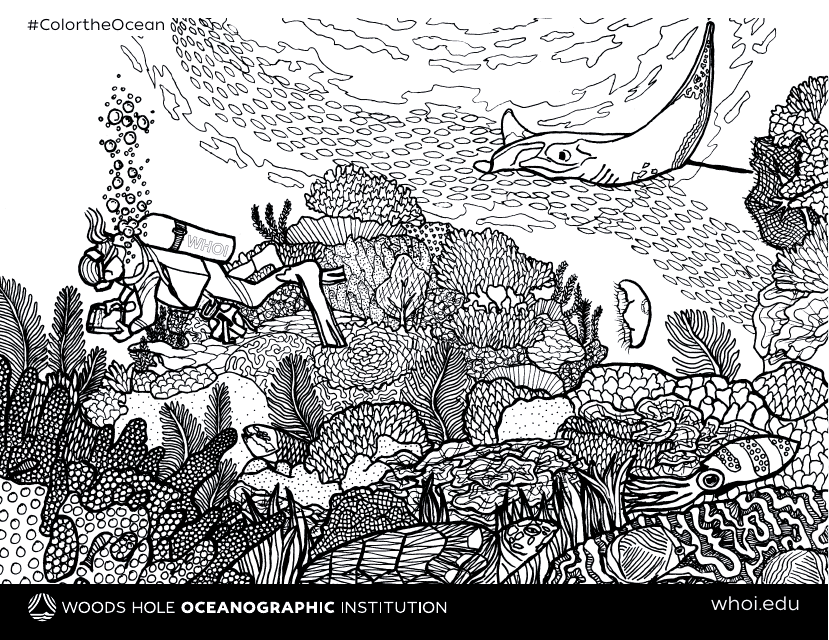 Ocean Coloring Page - Printable Illustration for Kids' Fun