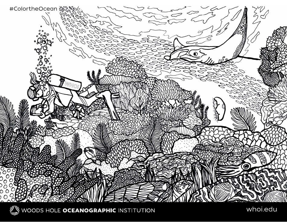 Ocean Coloring Page Download Printable PDF | Templateroller