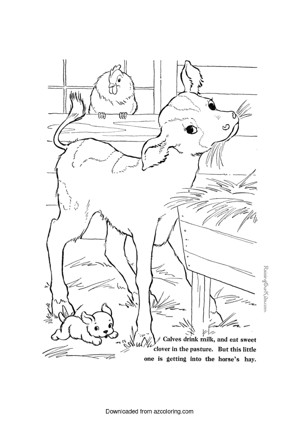 Cute Calf Coloring Page - Free Printable