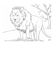 Document preview: Wild Lion Coloring Page