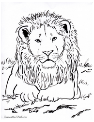 Document preview: Lion Coloring Page