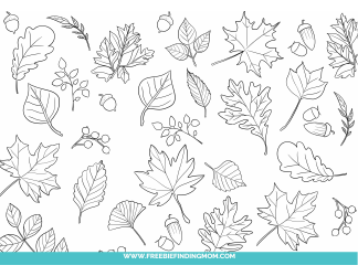 Document preview: Fall Leaves Coloring Page