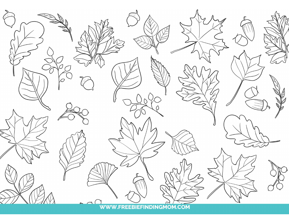 Fall Leaves Coloring Page Download Printable PDF | Templateroller