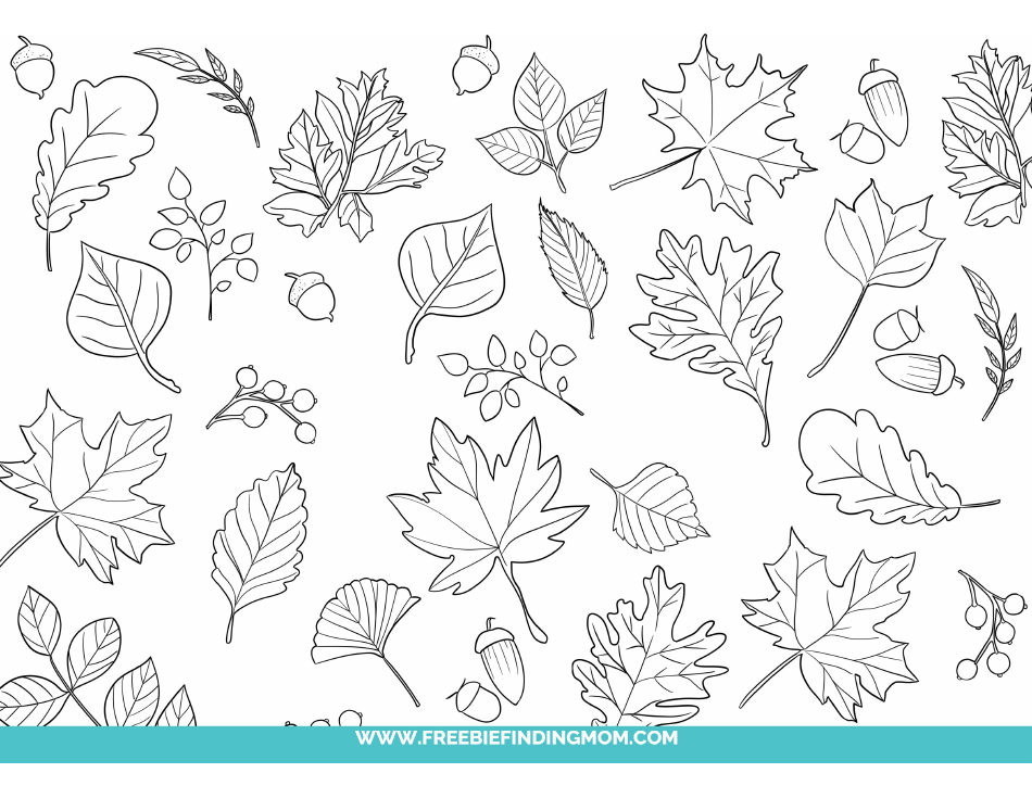 Fall leaves coloring page - an enchanting nature-inspired coloring page for autumn.