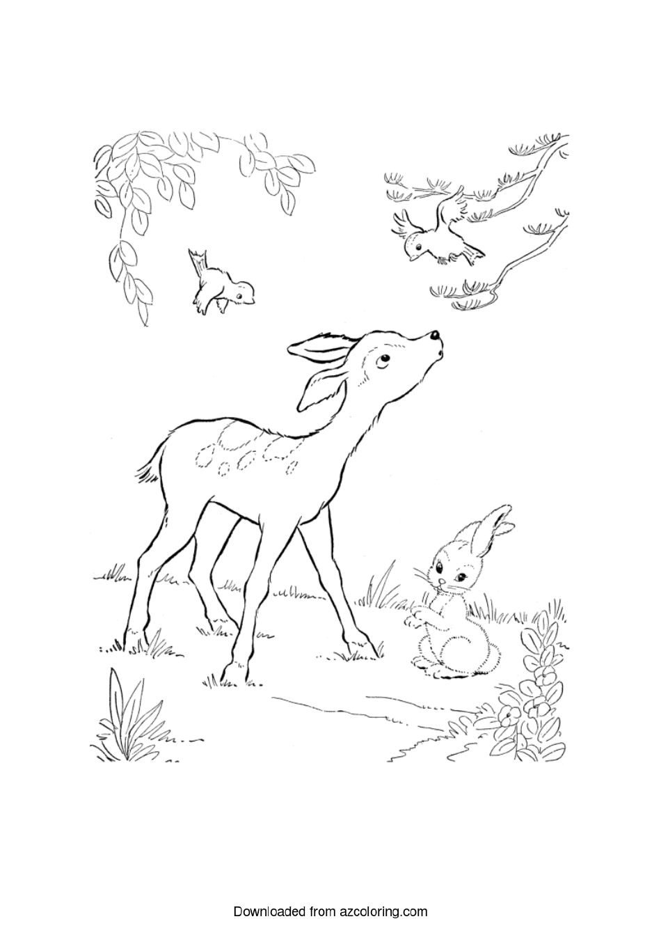 Deer Coloring Page - Printable | TemplateRoller