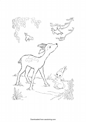 Document preview: Deer Coloring Page