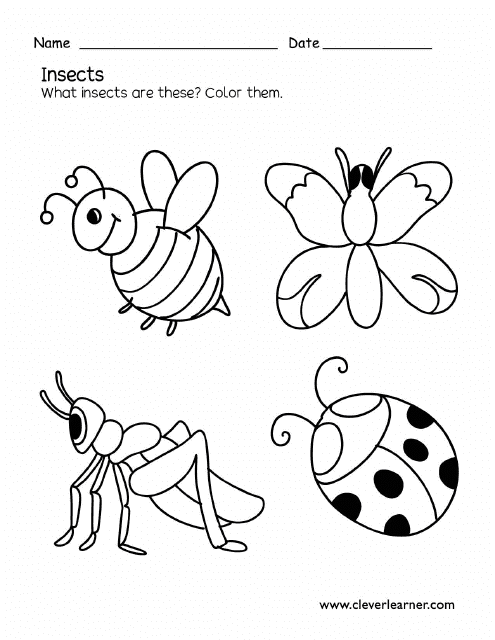 Insects Coloring Page