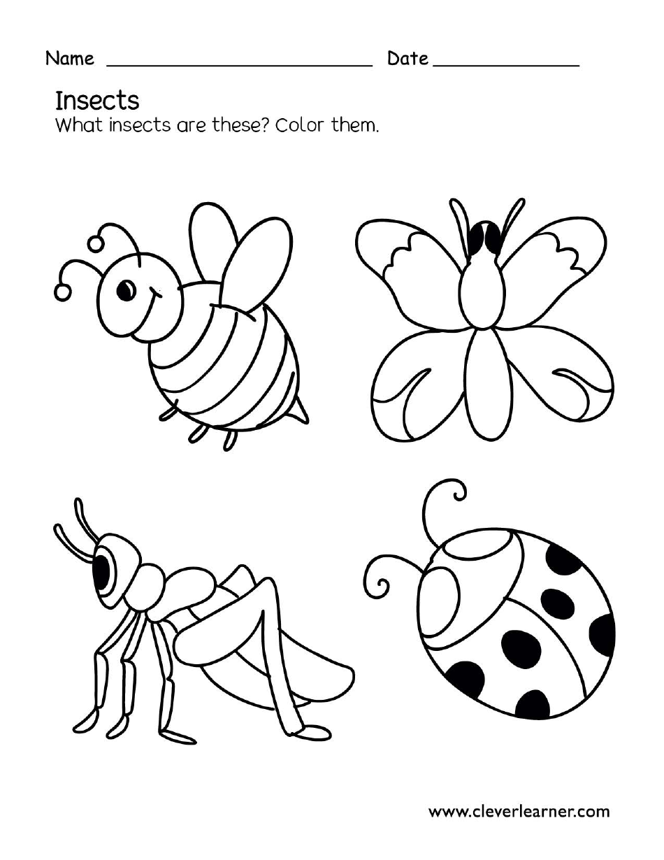 Insects Coloring Page - Free Printable PDF