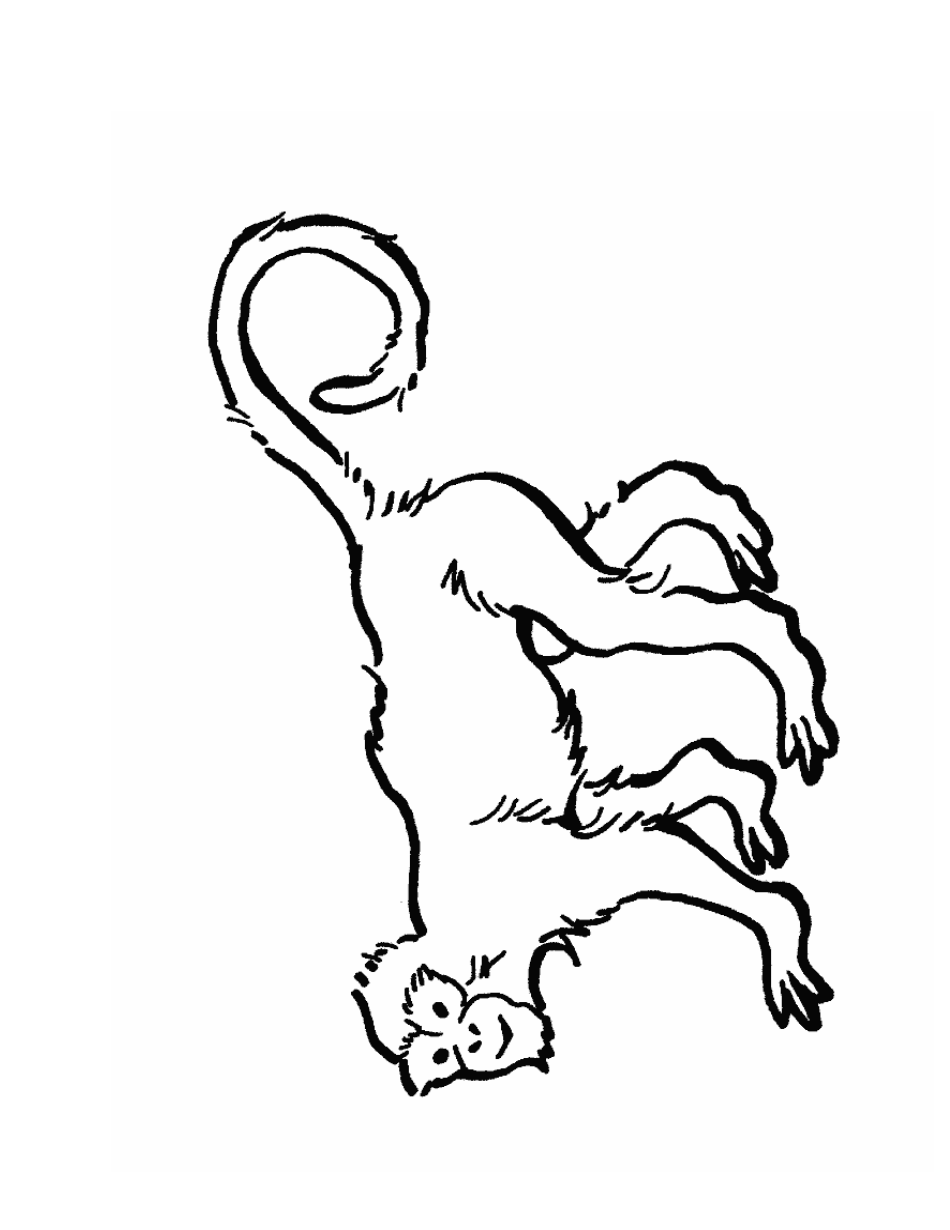 Macaque Coloring Page Download Printable PDF | Templateroller