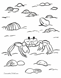 Document preview: Ghost Crab Coloring Page