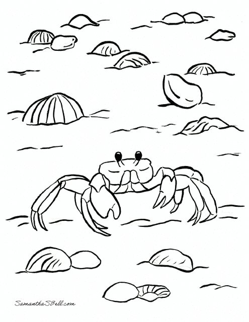 Ghost Crab Coloring Page