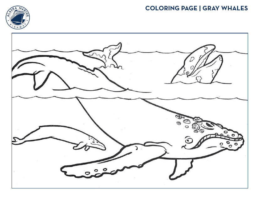 Gray Whales Coloring Page Preview