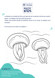 Document preview: Ocean Fauna Coloring Page - Jellyfish (French)