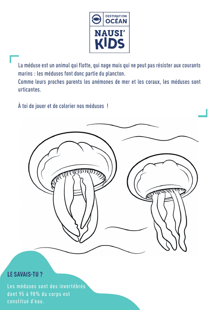 Ocean Fauna Coloring Page - Jellyfish (French)