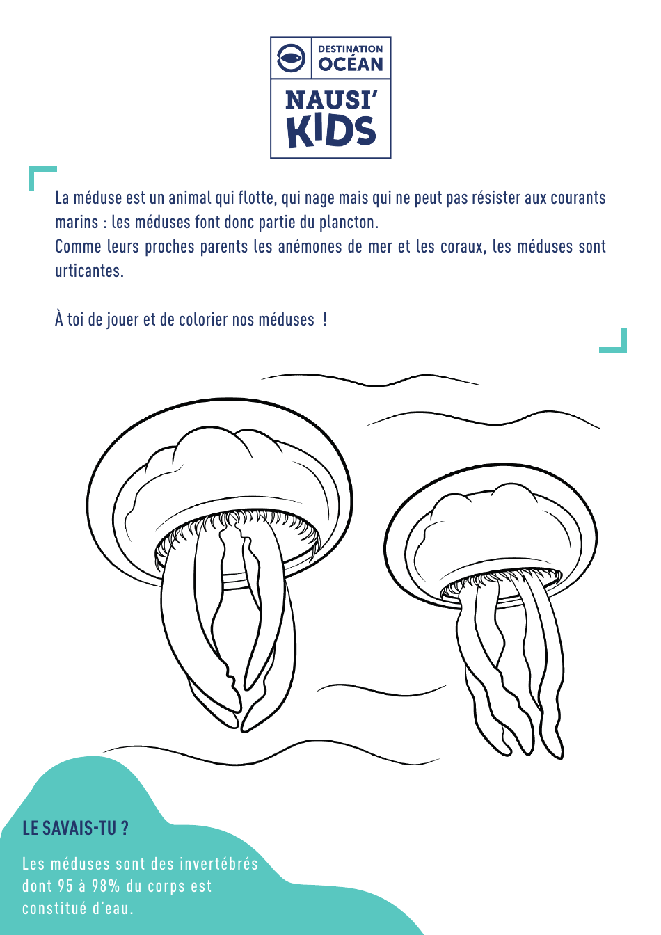 Ocean Fauna Coloring Page - Jellyfish (French)