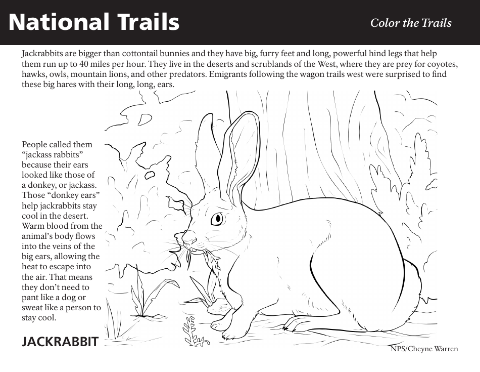 National Trails Coloring Page featuring a Jackrabbit
