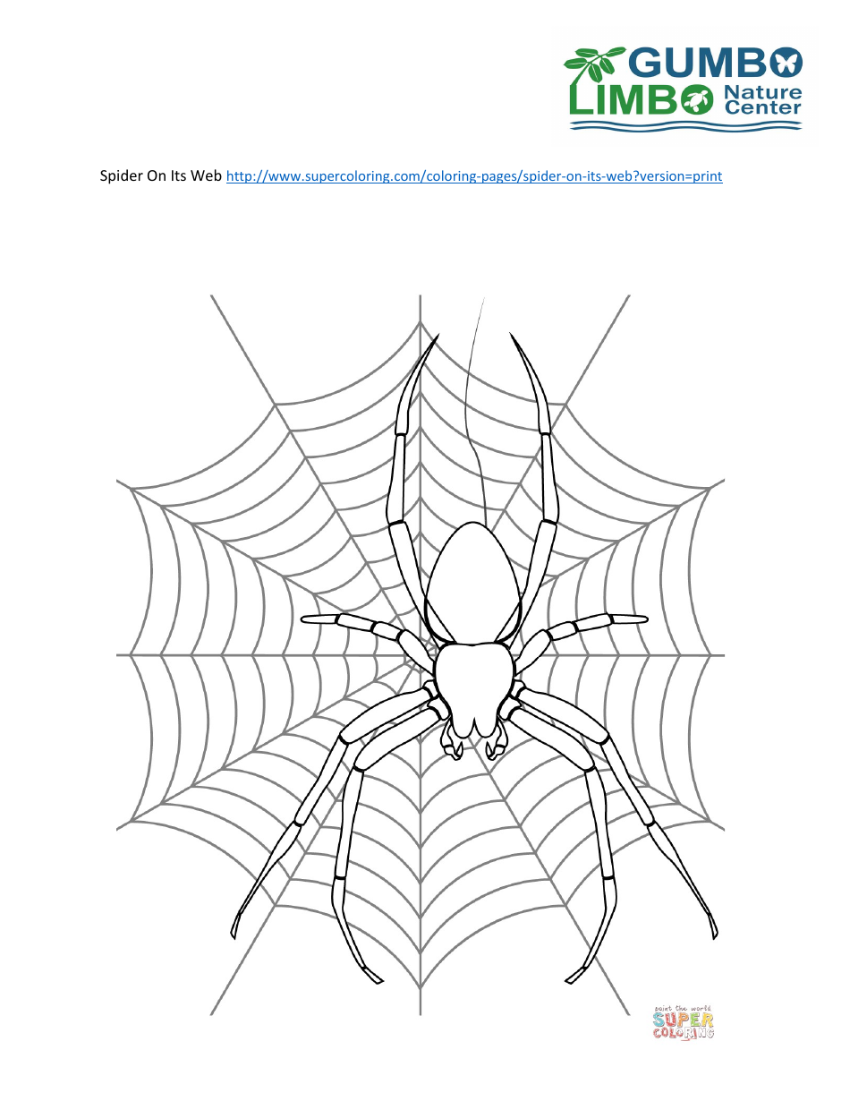 Spider on Its Web Coloring Page - Free Printable Coloring Page