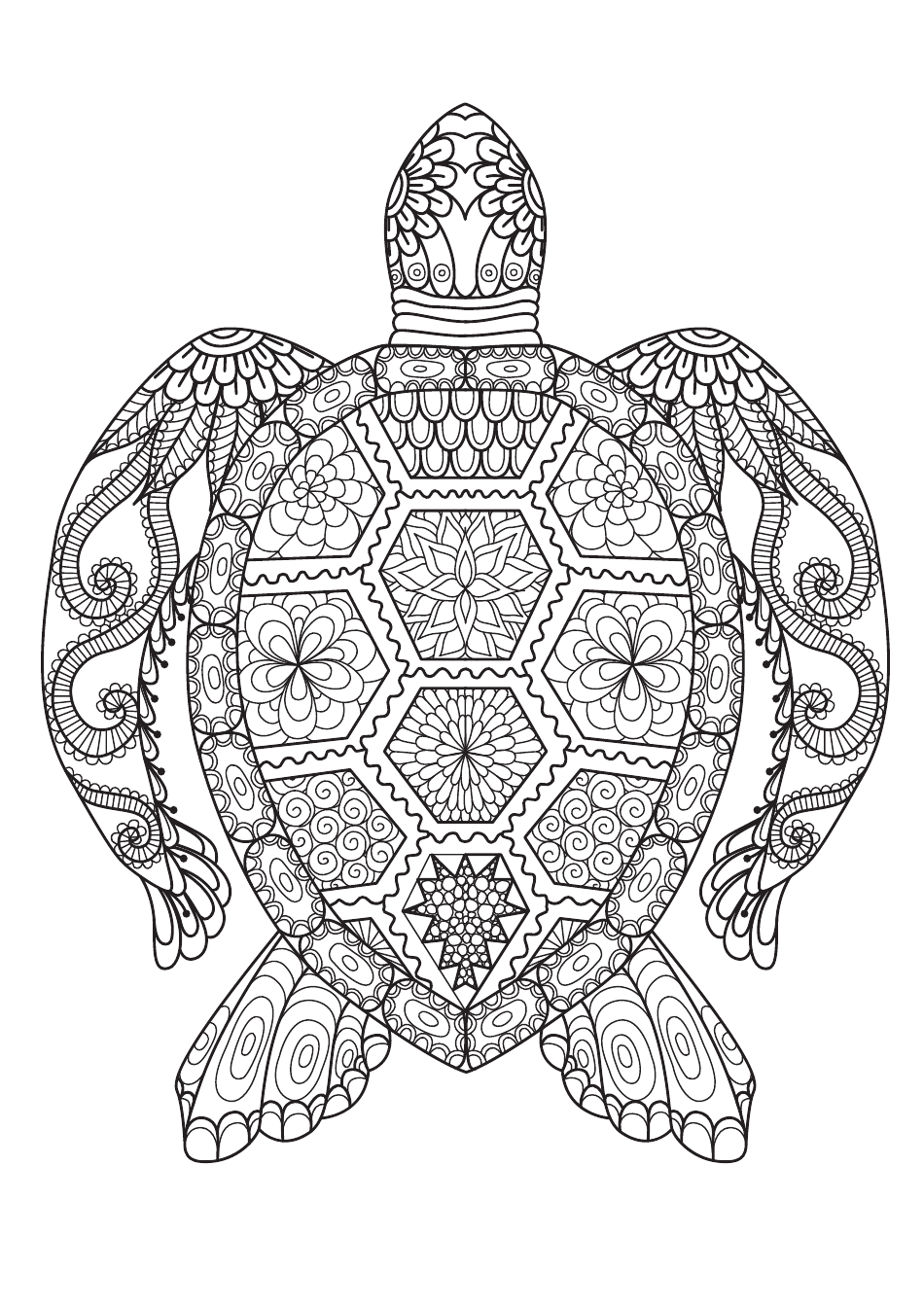 Turtle adult coloring page