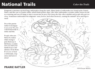 Document preview: Educational Coloring Page - Rattle Snake