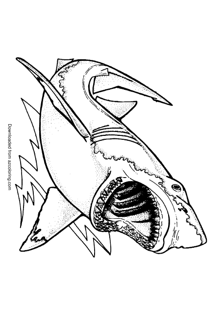 Shark Mouth Coloring Page - Template