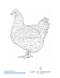 Document preview: Chicken Coloring Page