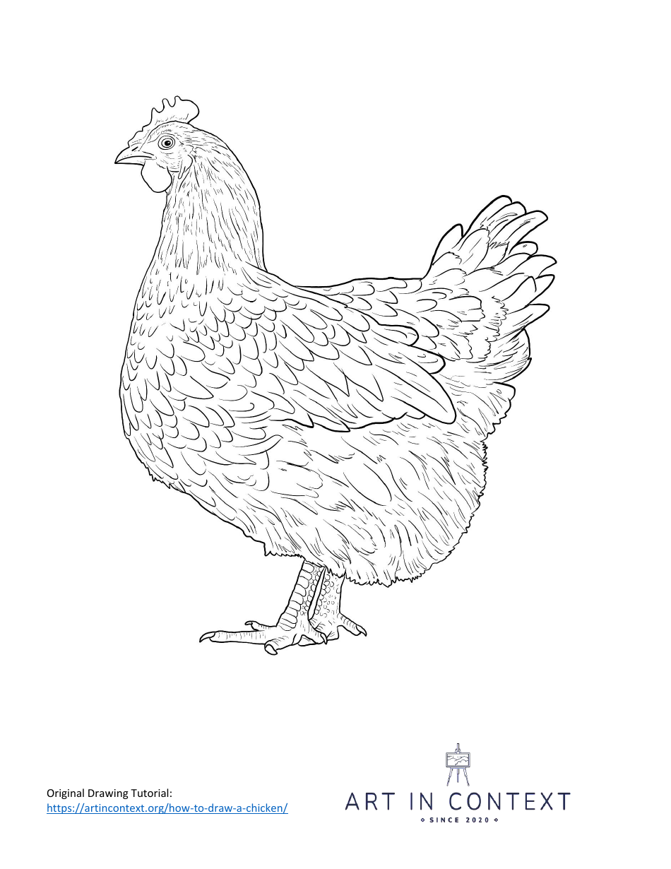 Chicken Coloring Page Download Printable PDF | Templateroller