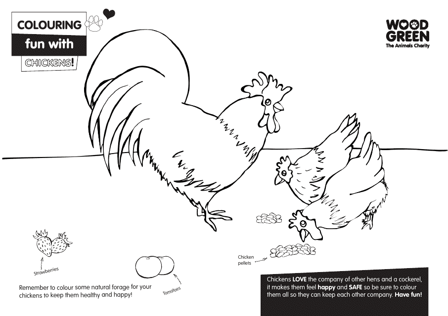 Chickens Coloring Page Preview