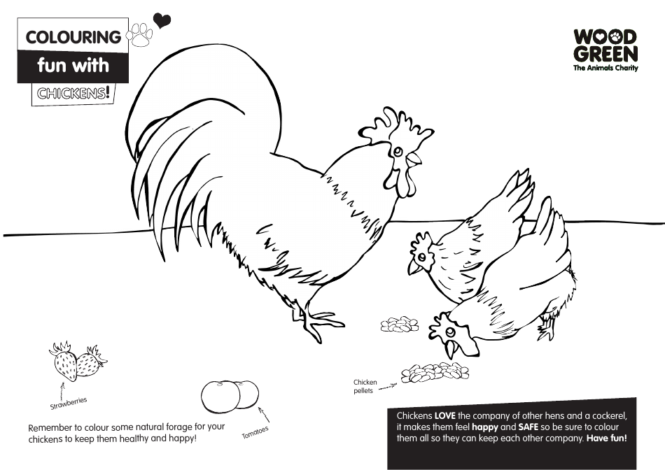 Chickens Coloring Page Download Printable Pdf Templateroller