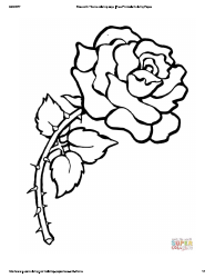 Document preview: Rose With Thorns Coloring Page