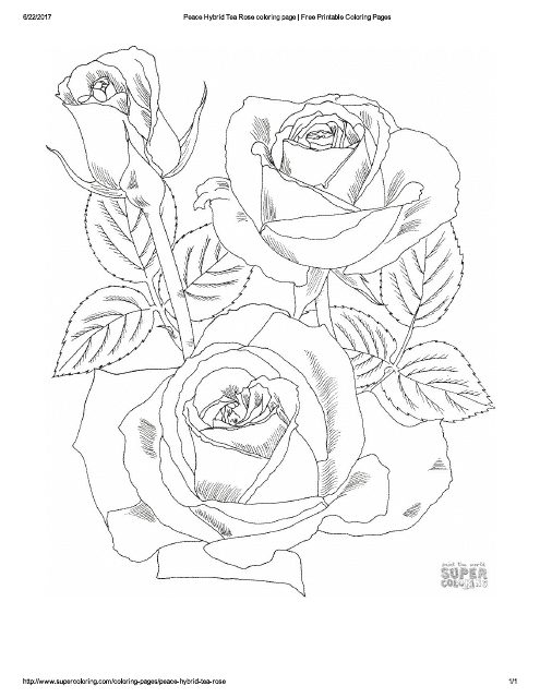 Flower Coloring Page with Roses