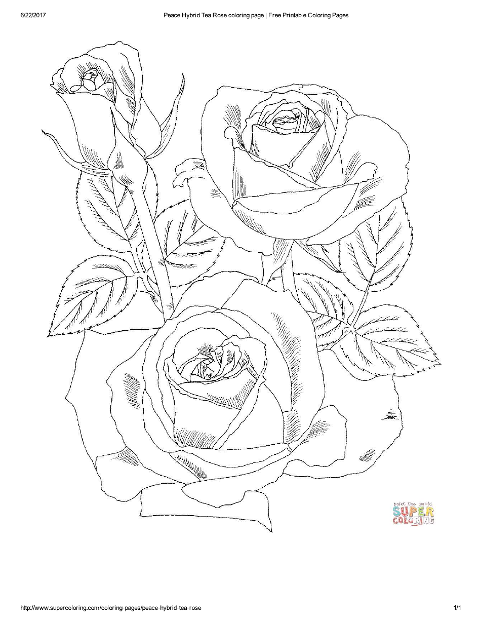 Flower Coloring Page with Roses