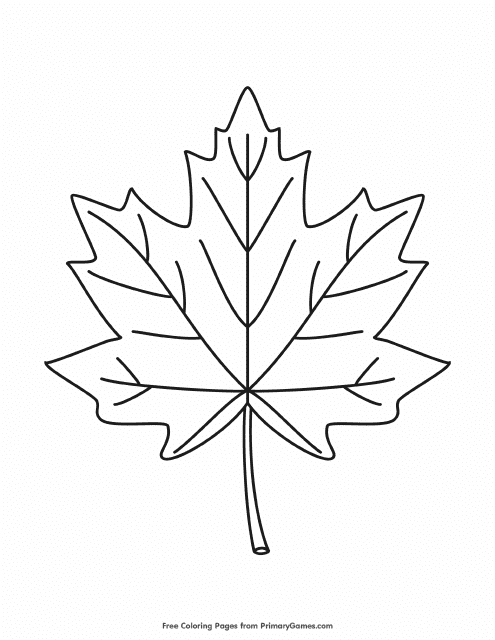 Maple Leaf Coloring Page - Printable Image Preview