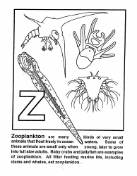 Document preview: Educational Coloring Page - Zooplankton