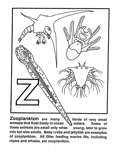A colorful educational coloring page featuring zooplankton