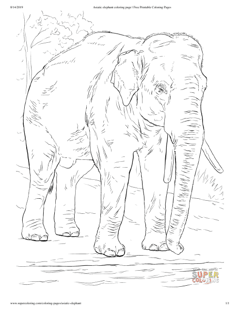 Asiatic Elephant Coloring Page