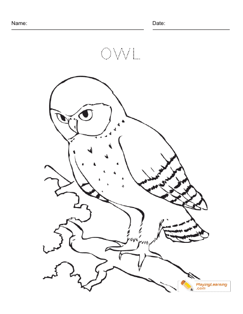 Cute and detailed owl coloring card found on TemplateRoller - a site with numerous printable templates for any occasion.