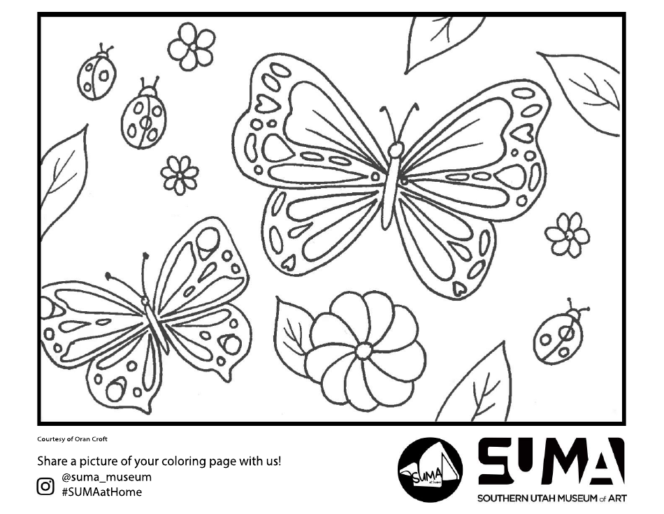 Butterflies Coloring Page - Museum Display Image Preview