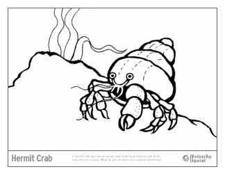 Document preview: Hermit Crab Coloring Page