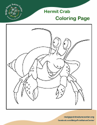 Document preview: Underwater Animals Coloring Page - Hermit Crab