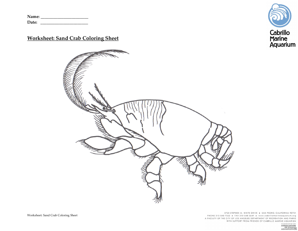 Sand Crab Coloring Sheet - Printable Activities for Kids